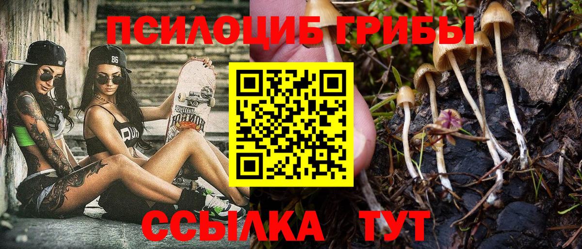 Муром  закладки  Вход с VPN  Псилоцибиновые грибы Magic Shrooms 